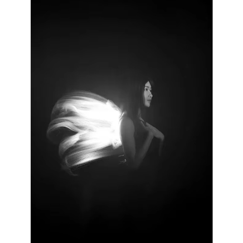 LLP light brush module light d - Photography Lighting Guides 评论和价格
