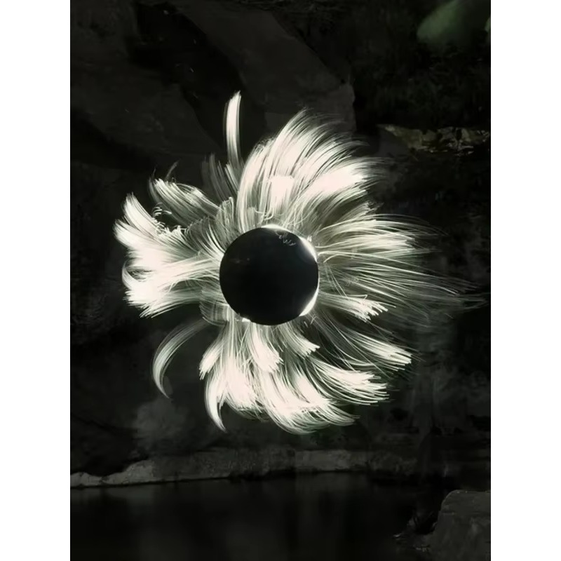 LLP light brush module light d - Photography Lighting Guides 评论和价格