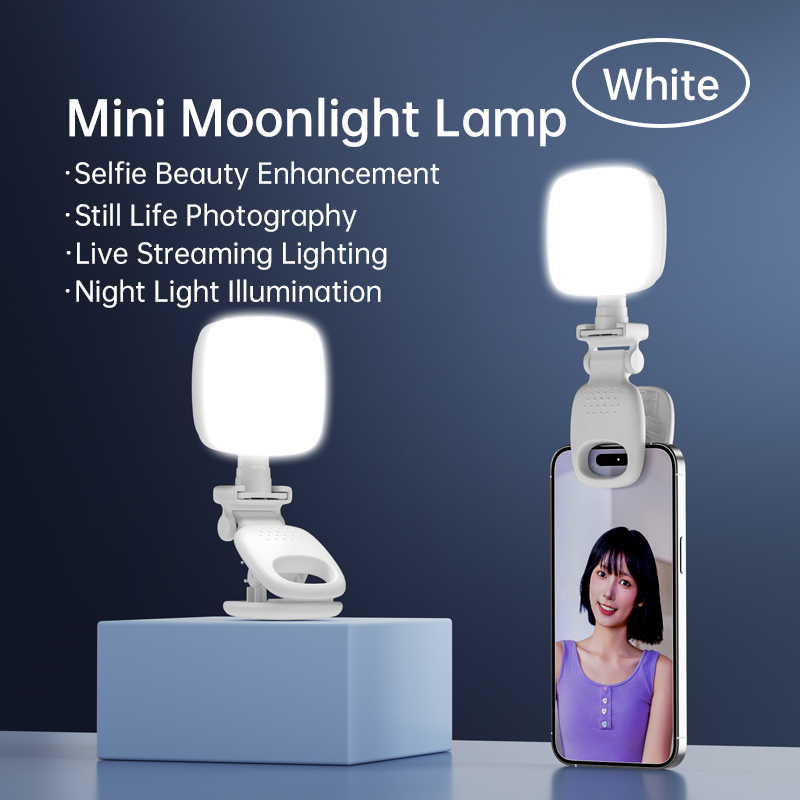 Portable LED Selfie Light Came - Photography Lighting Handheld 评论和价格