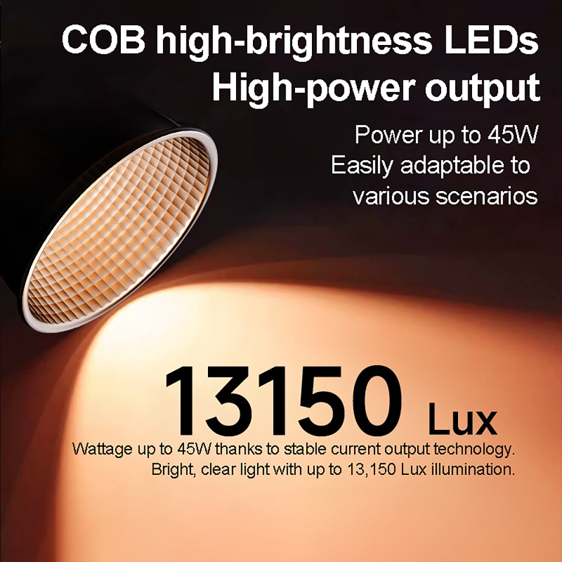 60W RGB Video Light Portable L - Photography Lighting Handheld 评论和价格